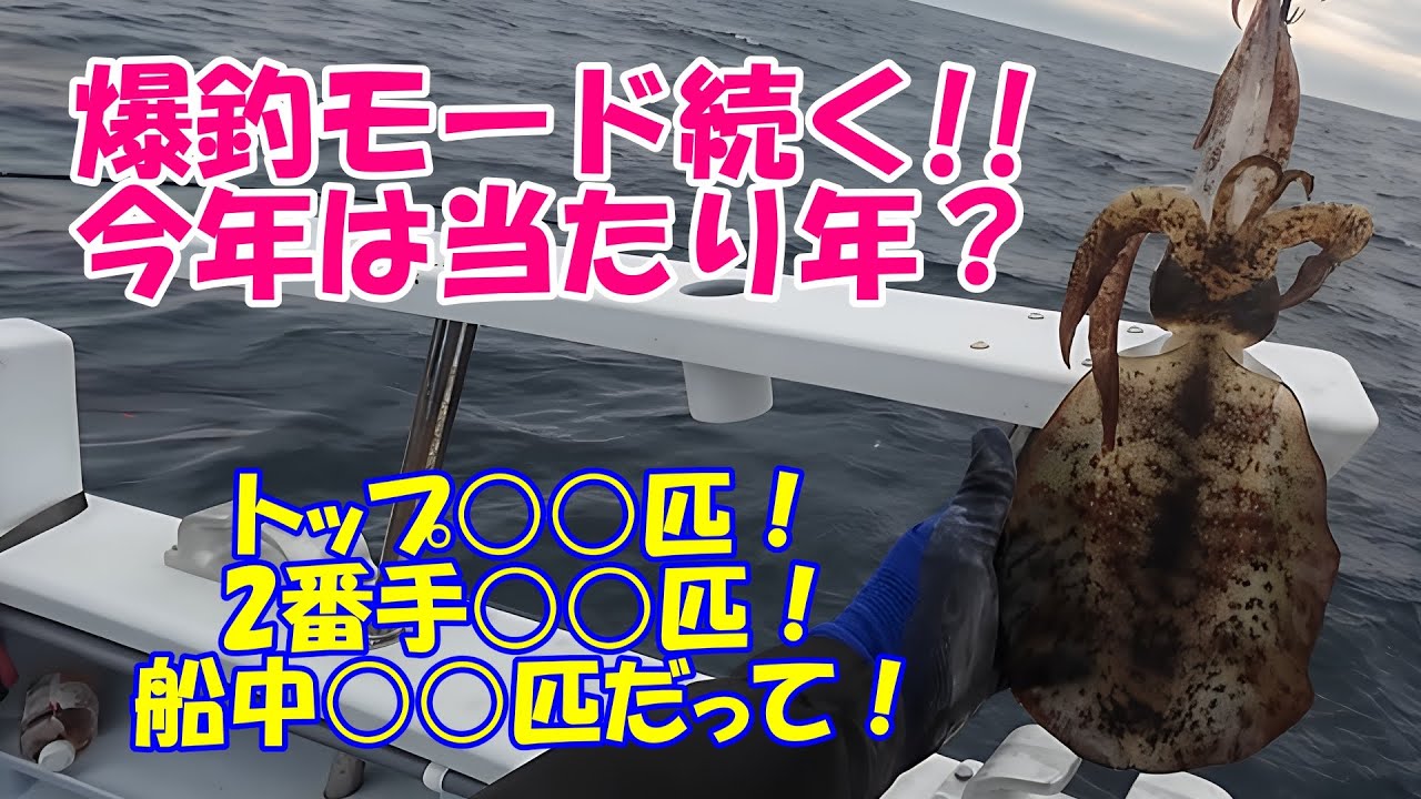 【ティップランエギング 五エム丸】風は無いけどウネリが高い・・・さてどうする？