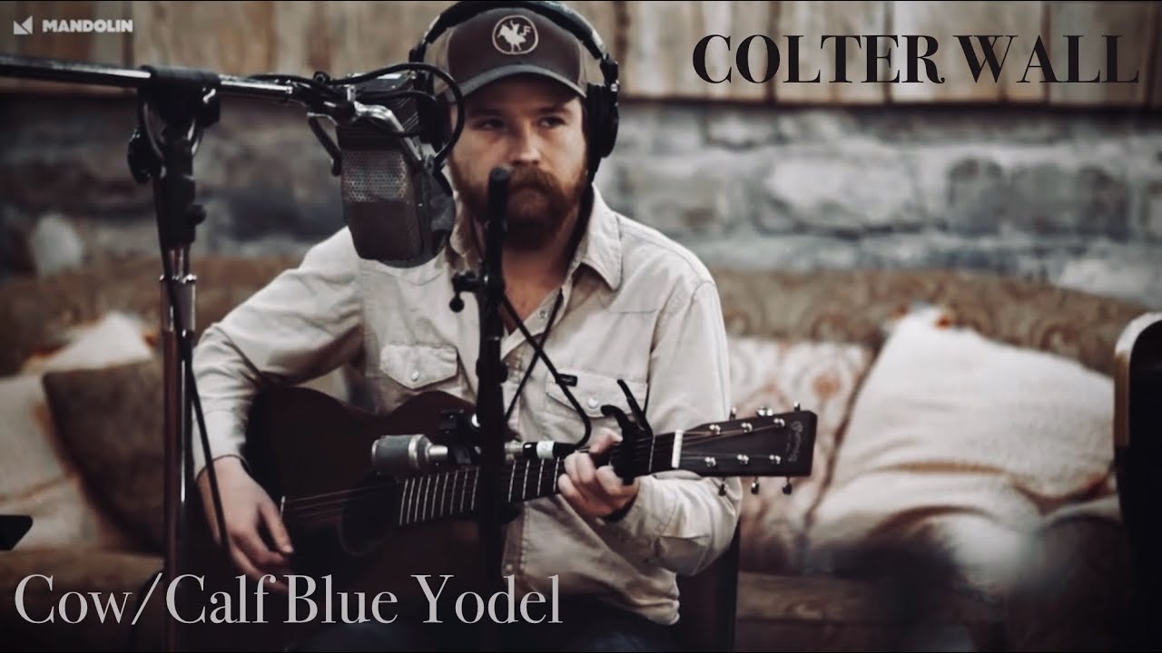 Cow/Calf Blue Yodel | Colter Wall | Live in front of Nobody | La Honda Records