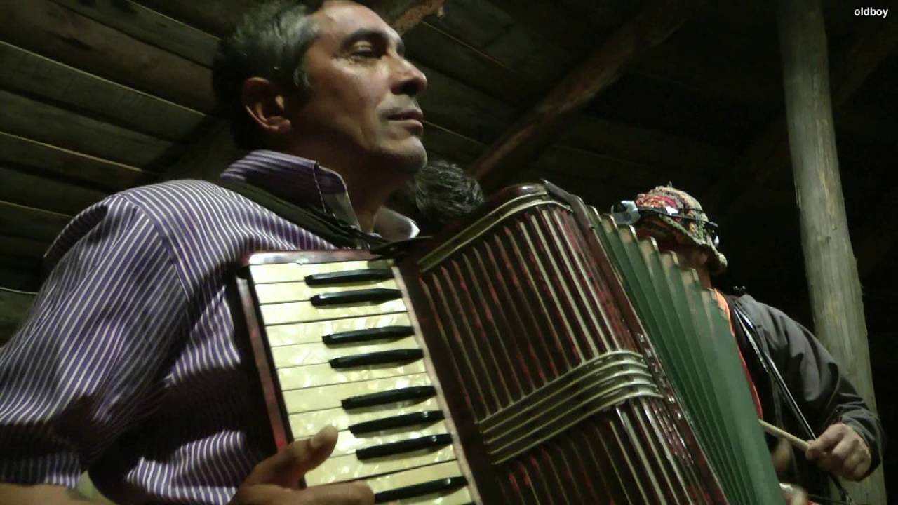 Folk Dance-House Music - Hungary (101)