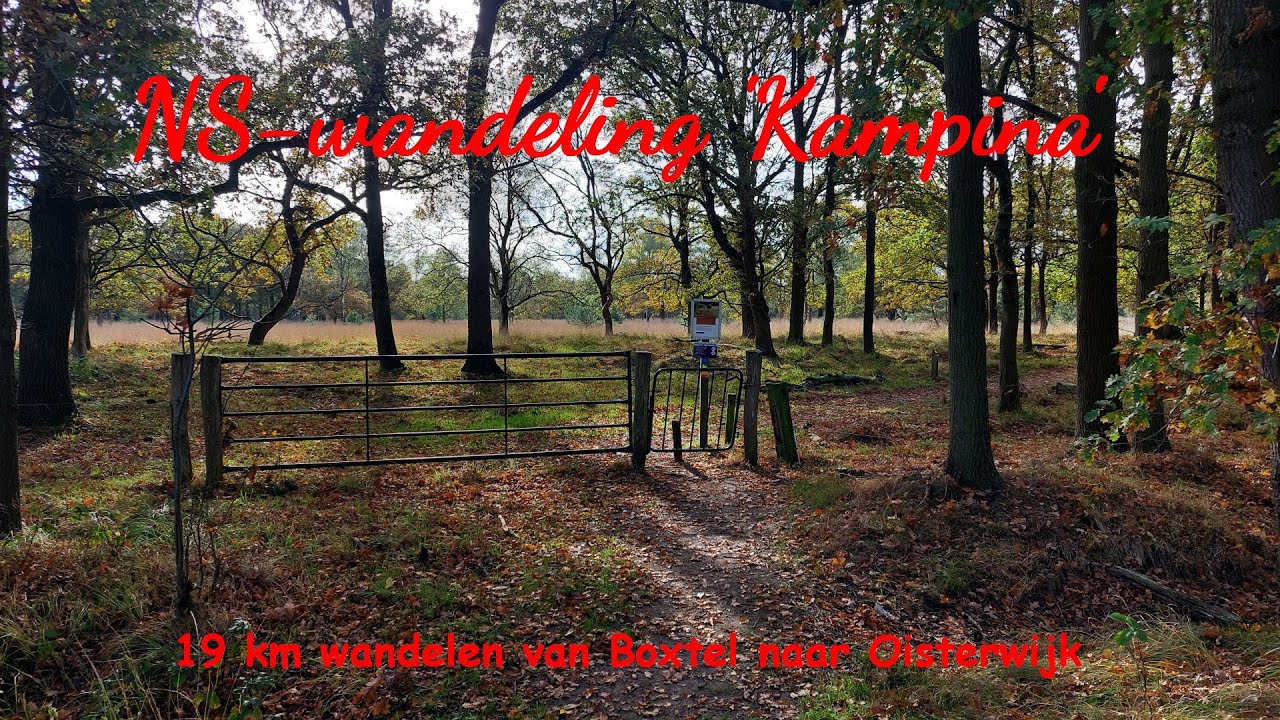 Wandelen van Boxtel naar Oisterwijk: NS wandeling Kampina