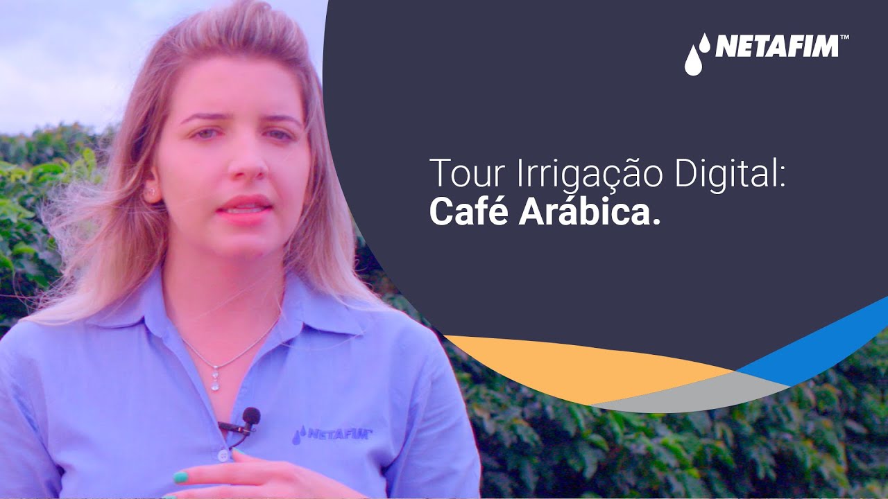 Tour Irrigação Digital: Café Arábica.