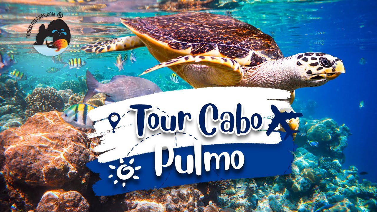 Cabo Pulmo