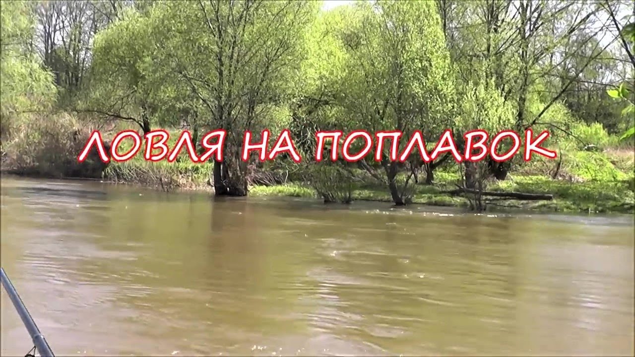 ЛОВЛЯ НА ПОПЛАВОК. ТАКОЙ СНАСТИ Я ЕЩЁ НЕ ВИДЕЛ!!!