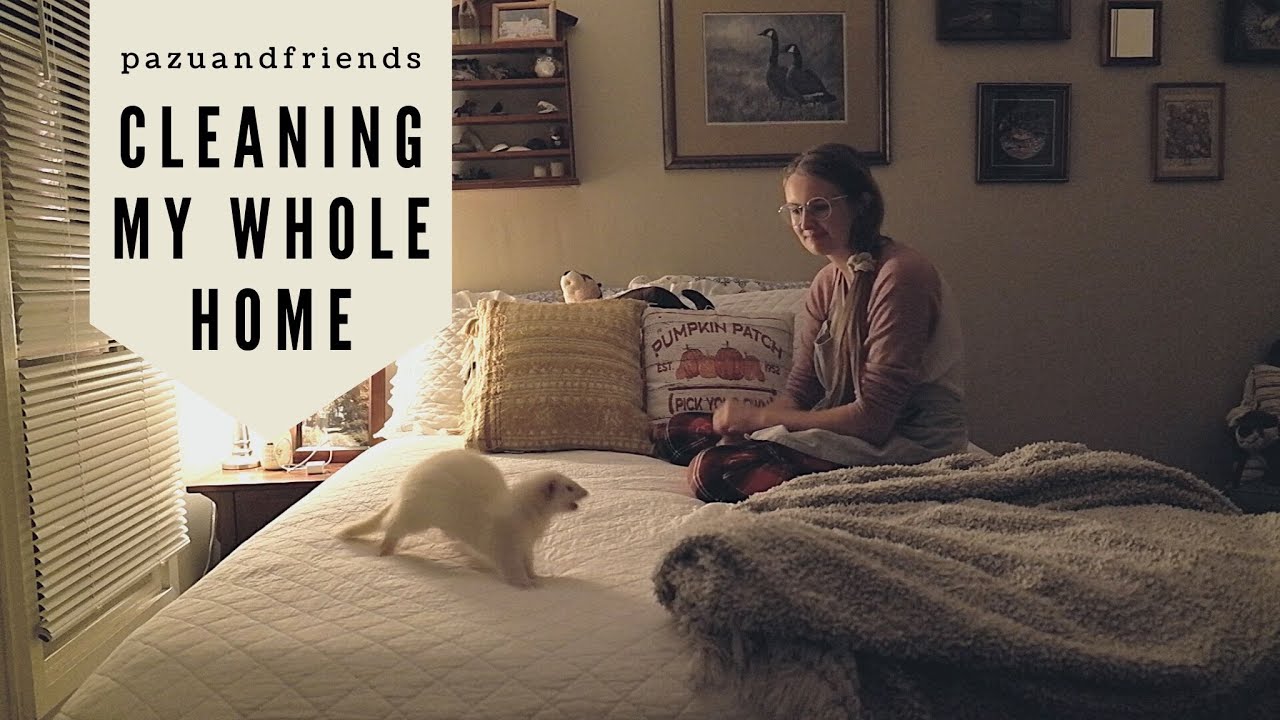 Cleaning a House Full of Animals! HOME RESET!