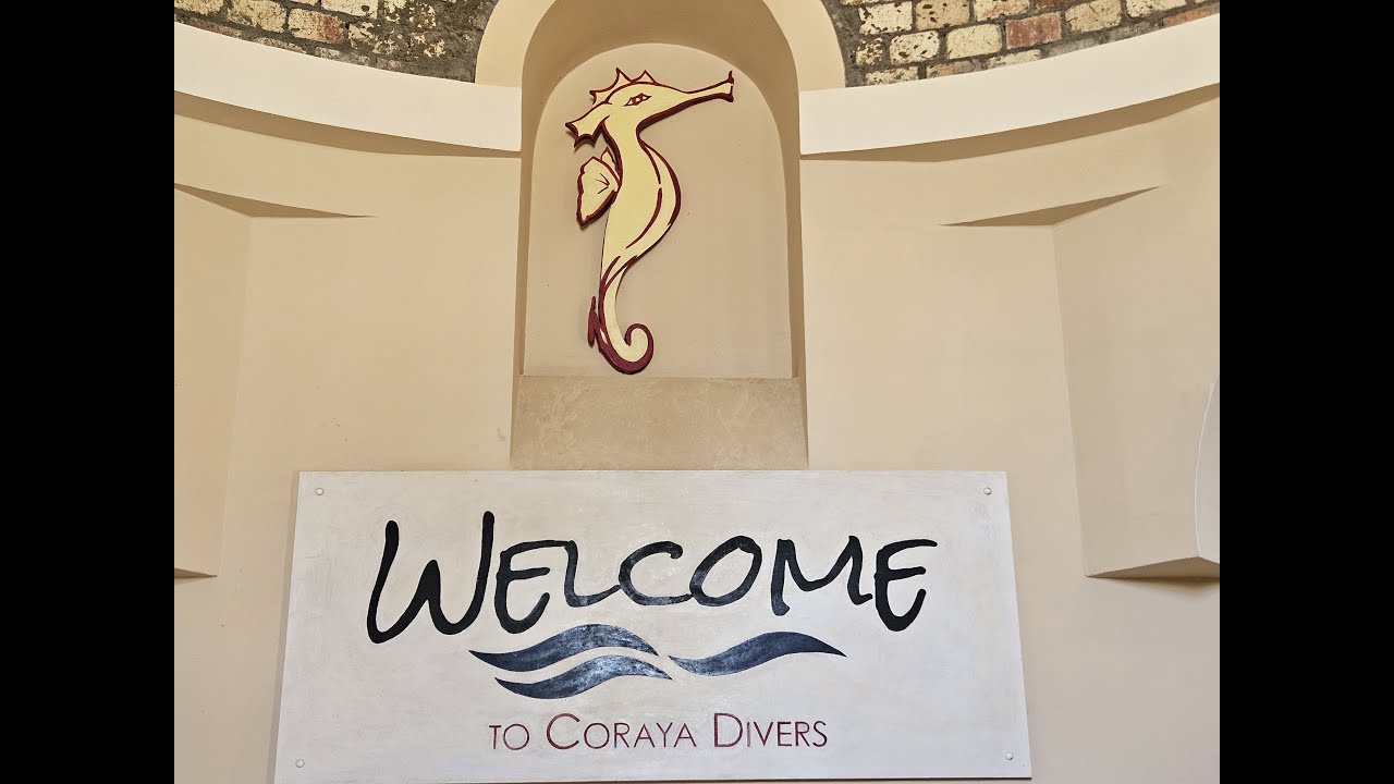 Divesite: Coray Divers - Marsa Alam (Coraya Bay/Marsa Umm Gerifat)