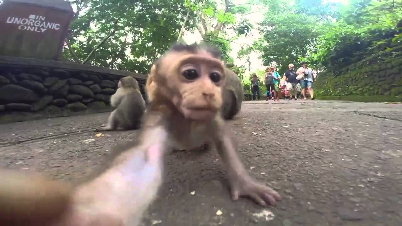 VOYAGE DE 3 MOIS EN ASIE DU SUD-EST AVEC MA GOPRO