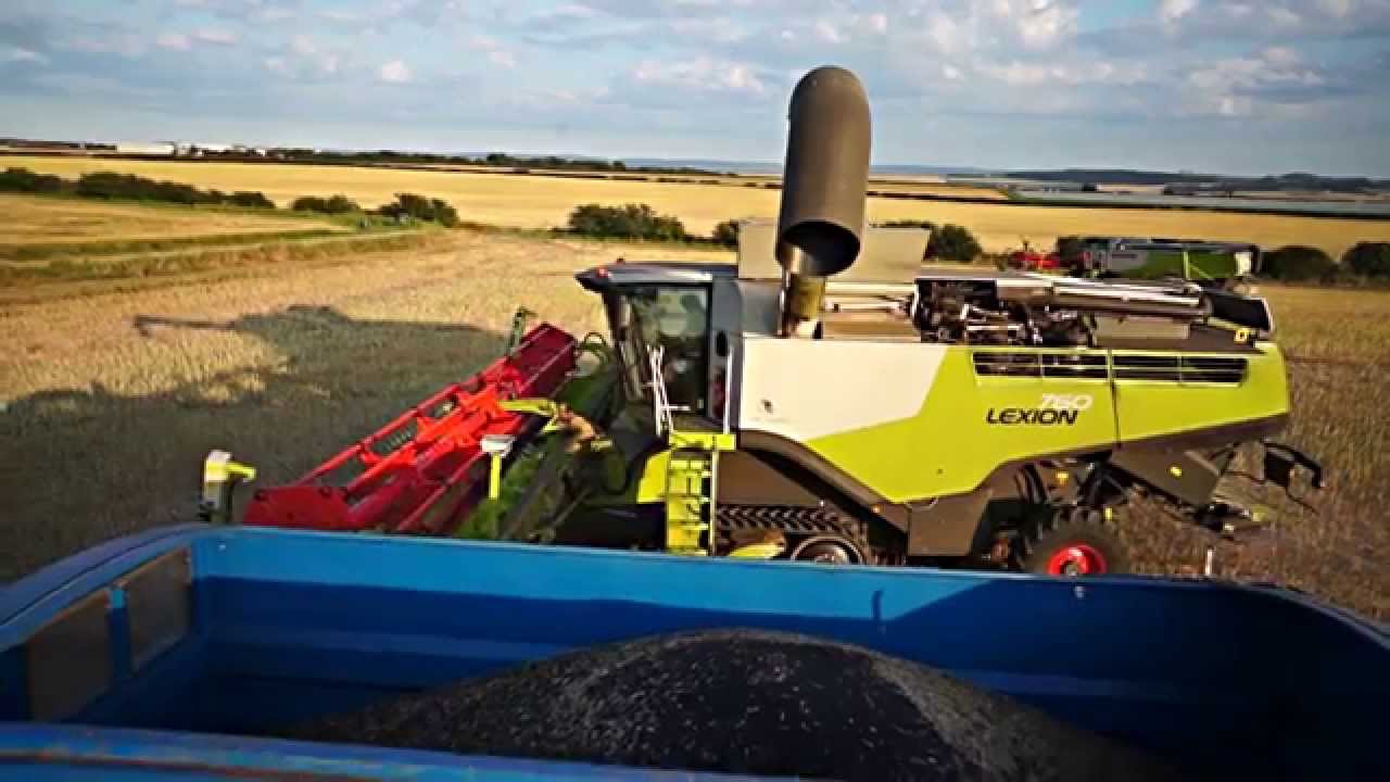 Harvest 2014