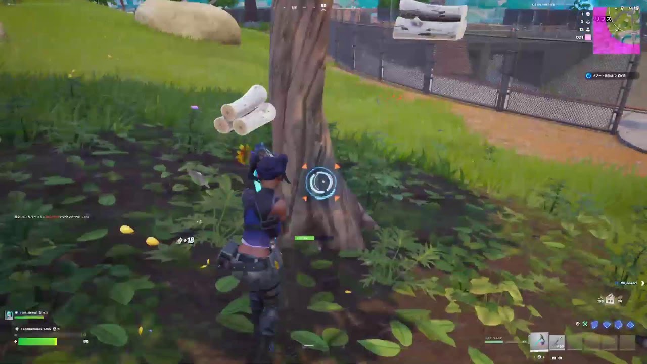 30分だけフォトナ