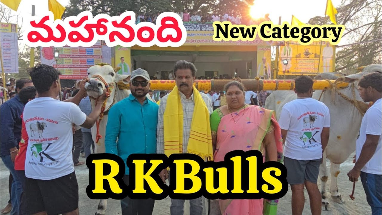 మహానంది న్యూ క్యాటగిరి విభాగంలో  RK bulls సింహాచలం భద్రాచలం అత్తోట శిరీష చౌదరి శివకృష్ణ చౌదరి 