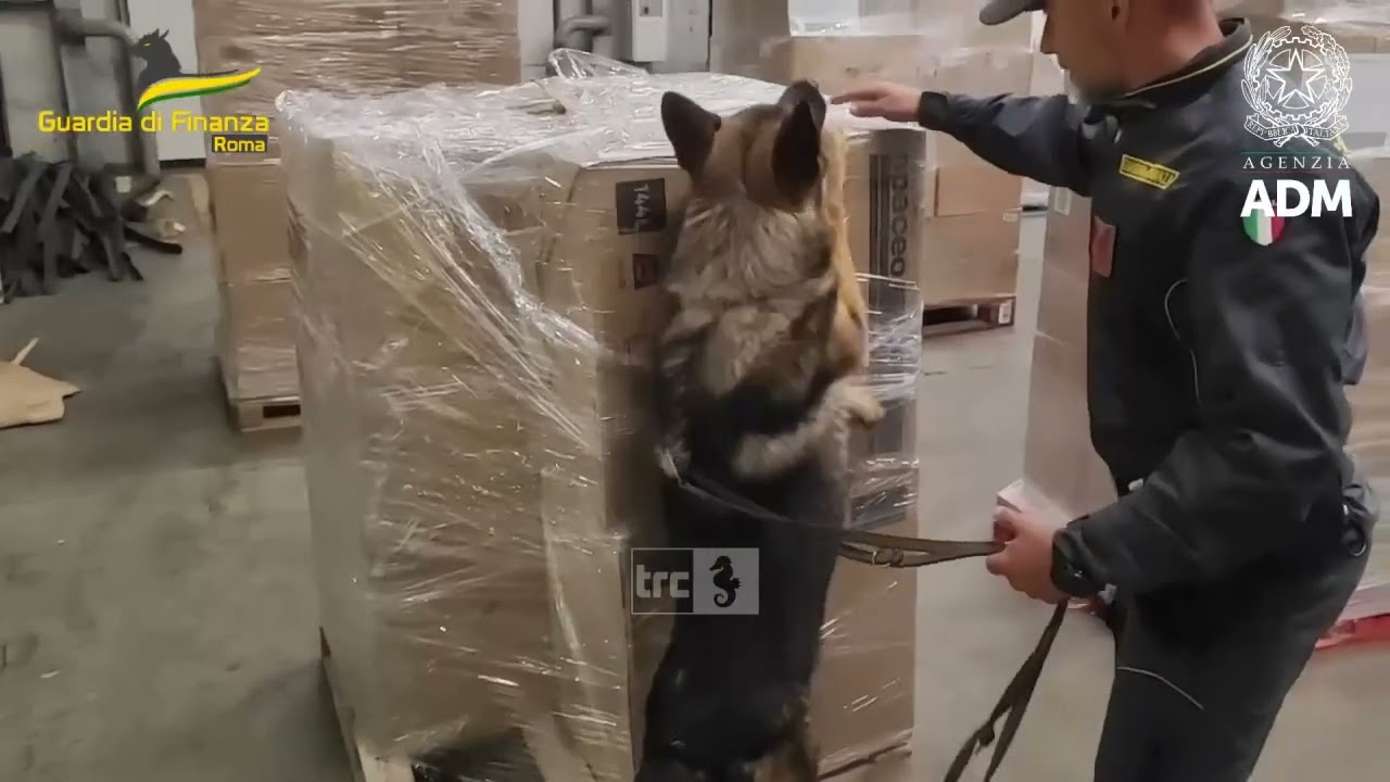 Maxi sequestro in porto, la Gdf fa 