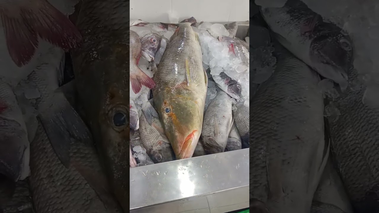 Saudi Arab ka fish market