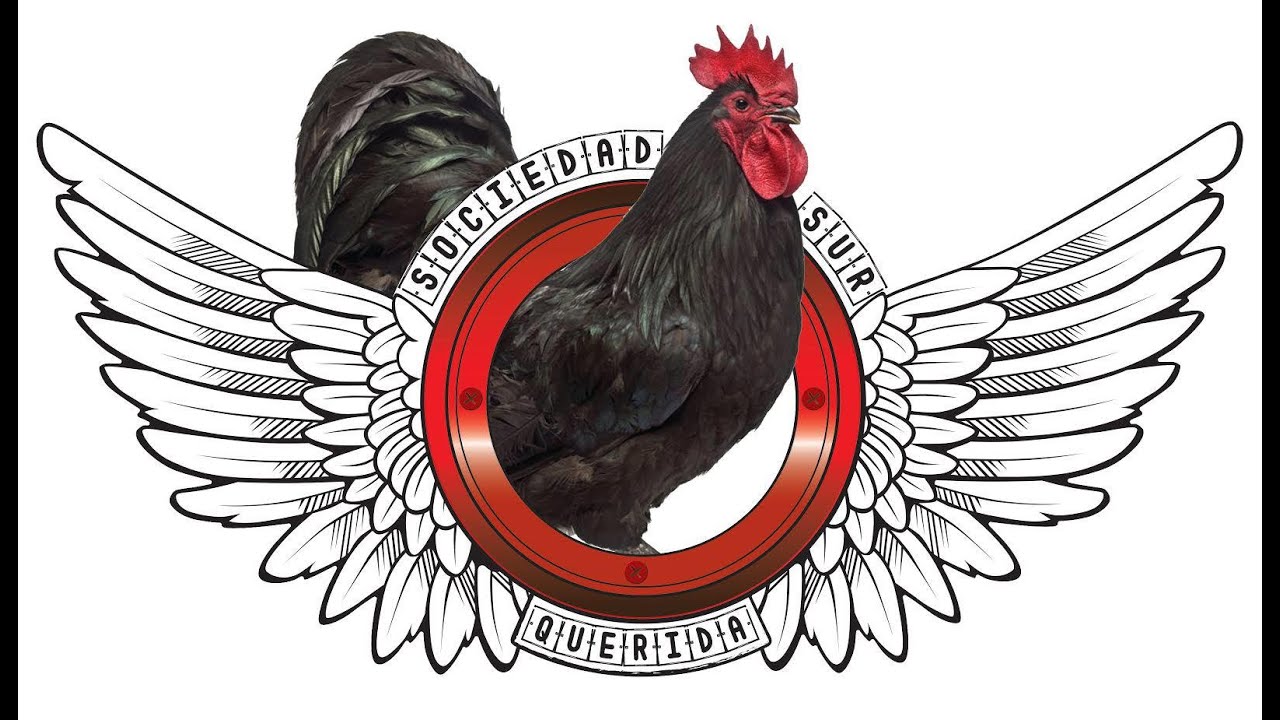 Querida - Official Video -  Sociedad Sur