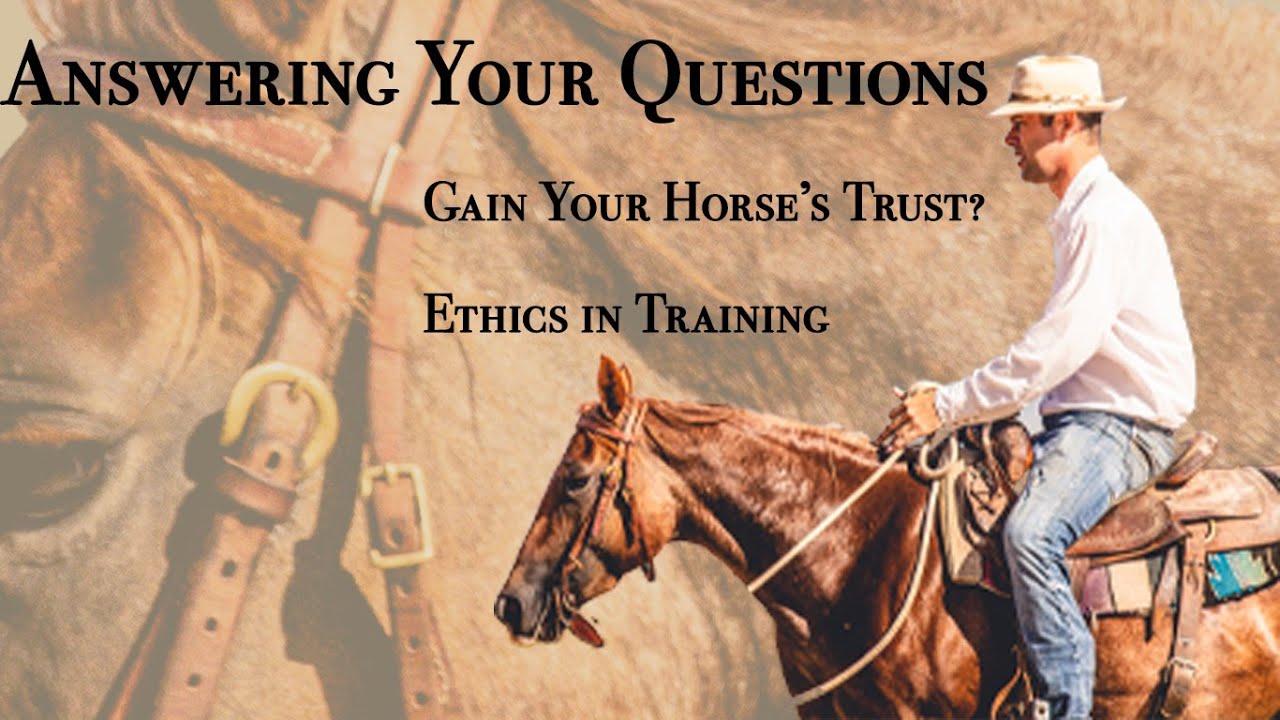 Gaining Your Horses Trust: Answering Questions