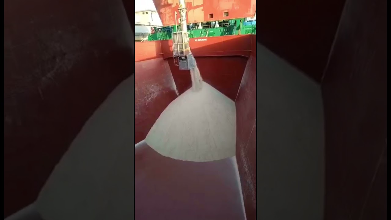 Loading a bulk carrier with sugar