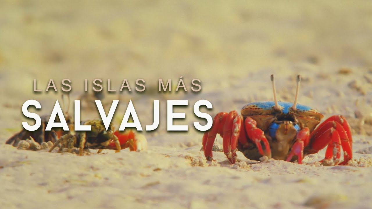 Caribe: El lado salvaje del para&iacute;so