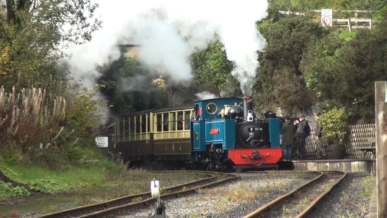 Vale of Rheidol 2025 Festival of Steam