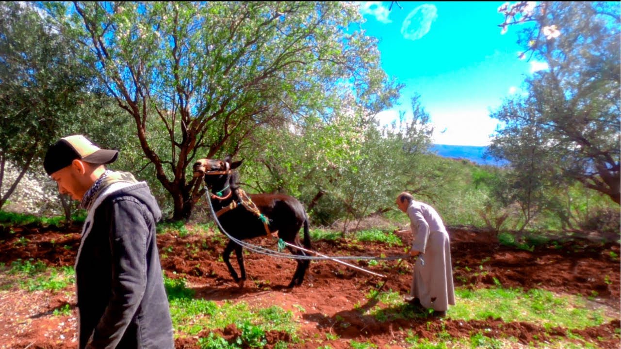 vlog agadir ait khatab 2021 الحياة تعود إلى البادية المغربية جولة في قبائل ايت خطاب