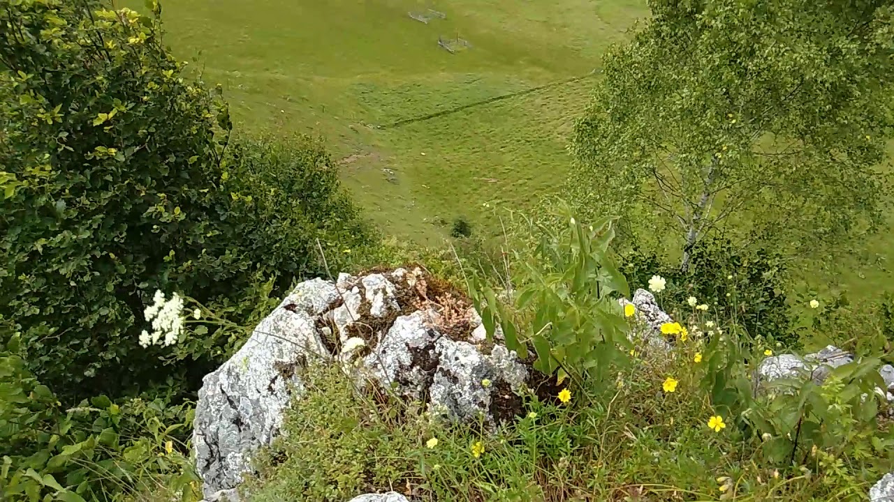 Poiana Ponor (Fundatura)