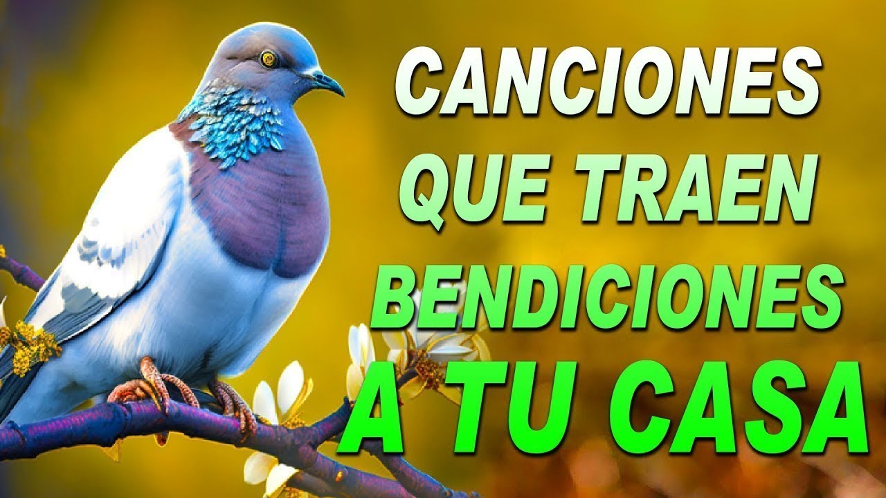 La Canci&oacute;n Cat&oacute;lica Mas Hermosa Del Mundo 2023 | Alabanzas Que Bendiciones A Tu Casa