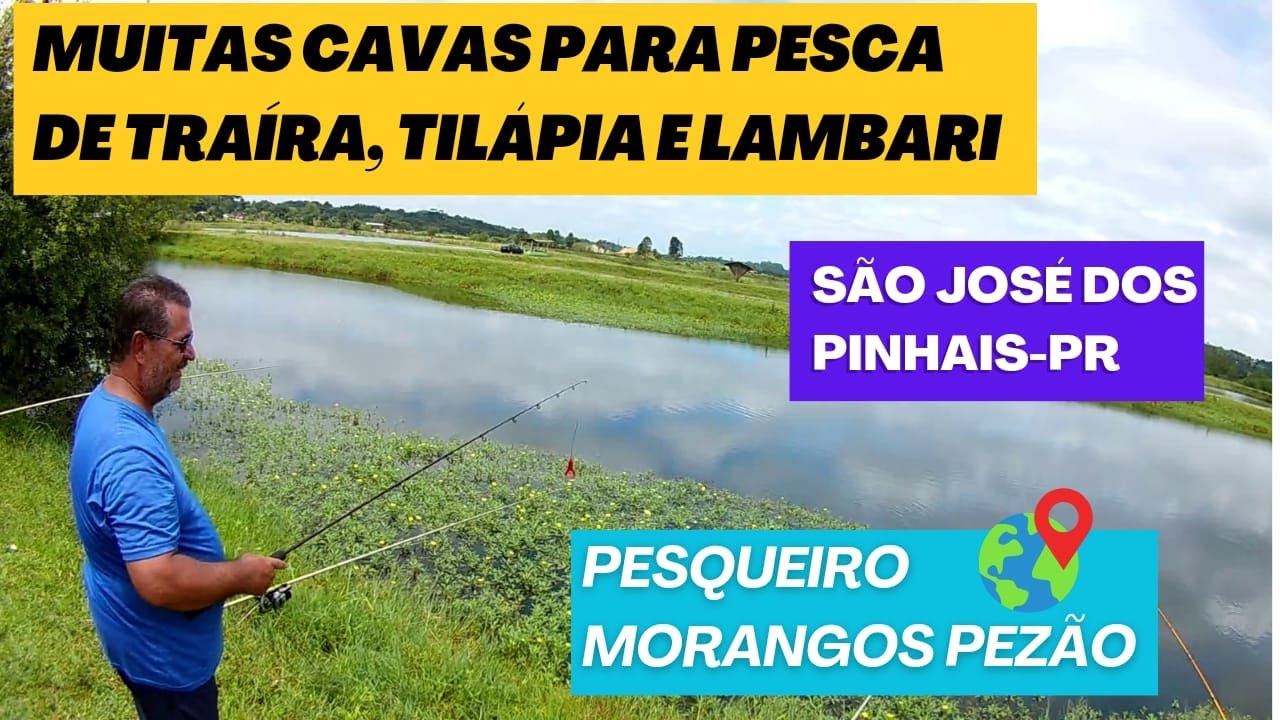 Pesqueiro Morangos Pez&atilde;o - Muitas cavas boas para pesca de Tra&iacute;ra, Til&aacute;pia e Lambari