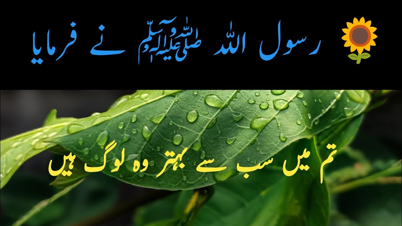 “Tum mein sab se behtar woh log hain…”#Hadith#quran islam#fypシ゚viral #Varial vodio! charwelo voice 