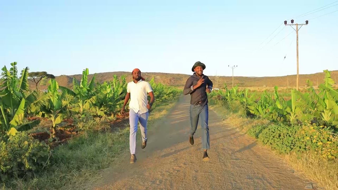 Tani waa sheekada dhagaxle, Quruxda dhagaxle bal daawada.