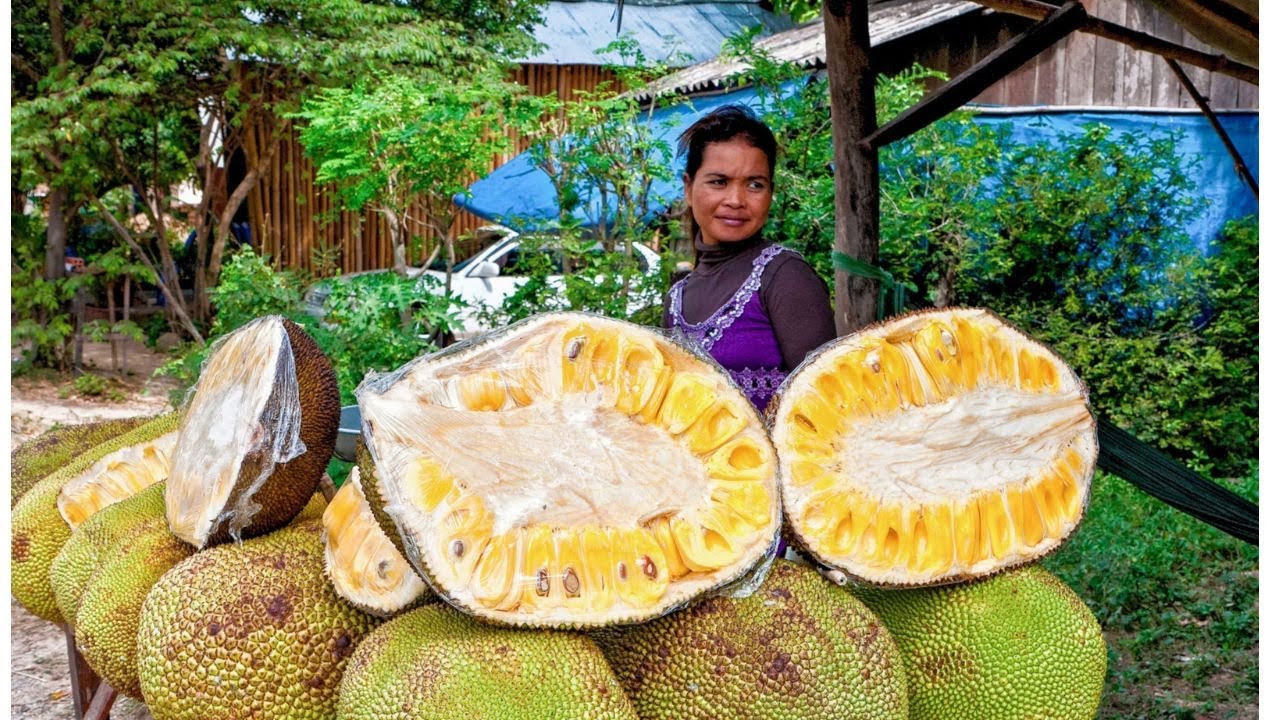 Super Early Hybrid Jackfruit Tree Grafting (bud grafting) Technique