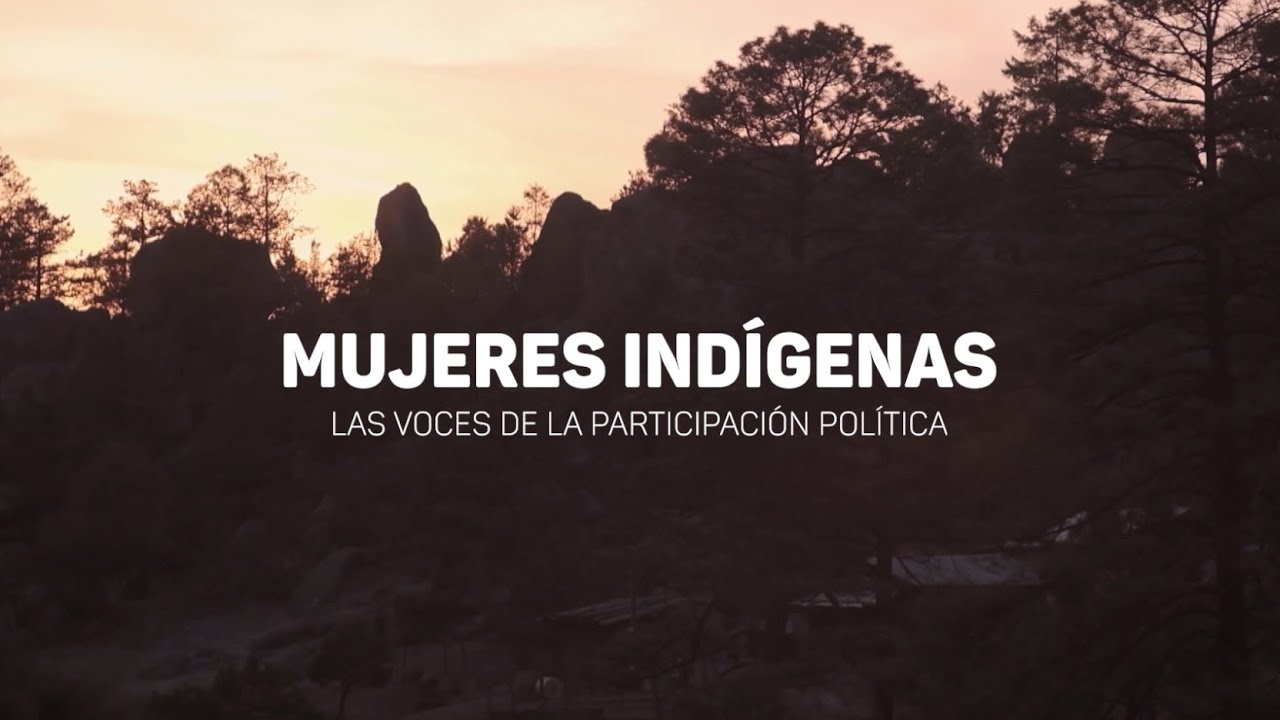 MUJERES INDÍGENAS: LAS VOCES DE LA PARTICIPACIÓN POLÍTICA