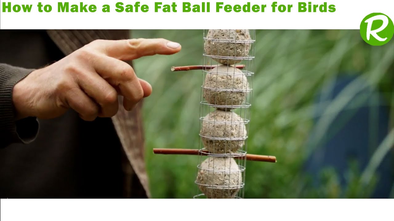 How to make a safe fat ball feeder for Birds🐦