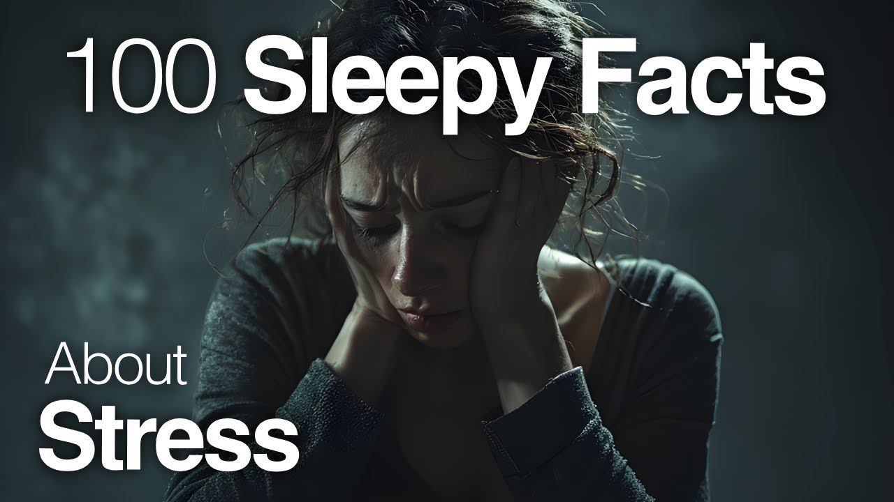 The Most Relaxing Facts About Stress to Fall Asleep To