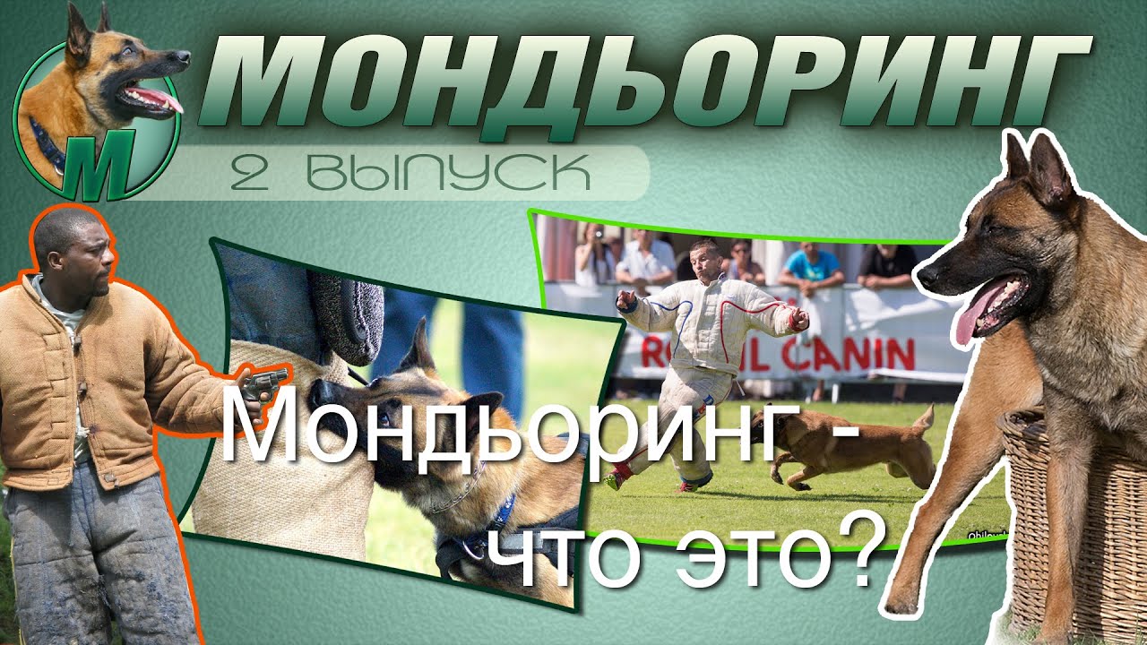 МОНДЬОРИНГ. НАМ ЕСТЬ О ЧЁМ ПОГОВОРИТЬ. Часть вторая. МОНДЬОРИНГ. ЧТО ЭТО?