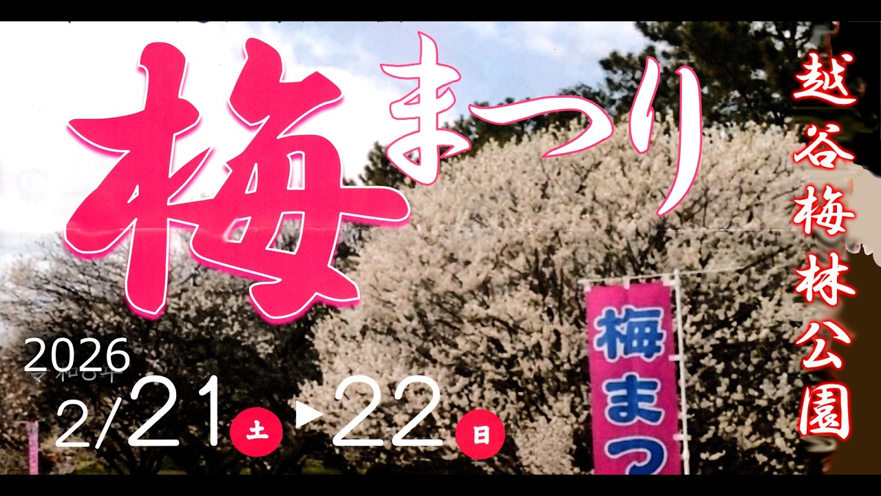 #越谷 梅林公園　梅まつり　2026年2月21日・22日