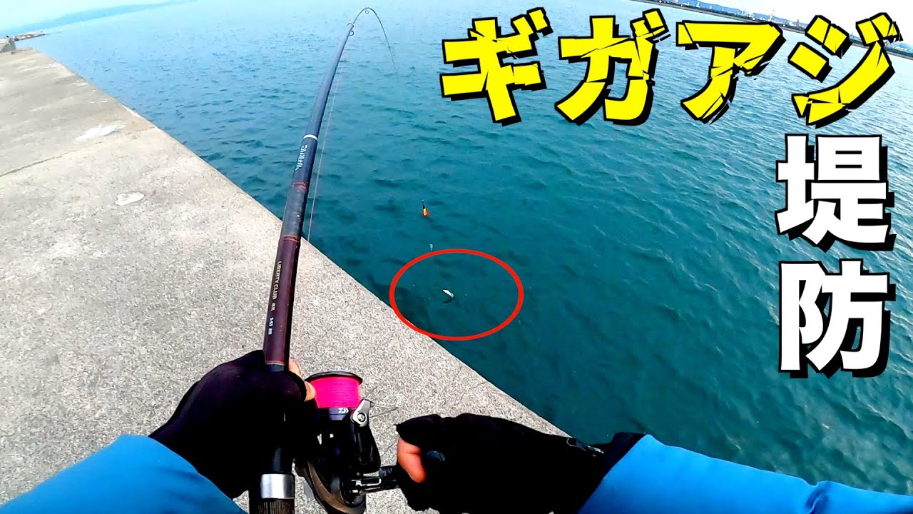 ギガアジの巣窟堤防でカゴ釣りしたら１投目から凄い事になりました