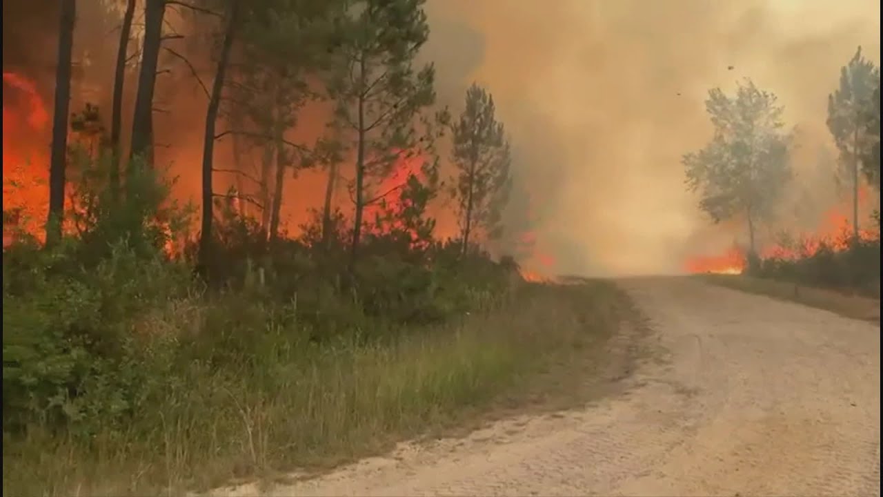 Incendie à La Teste-de-Buch : le feu toujours pas maîtrisé à la mi-journée du 14 juillet