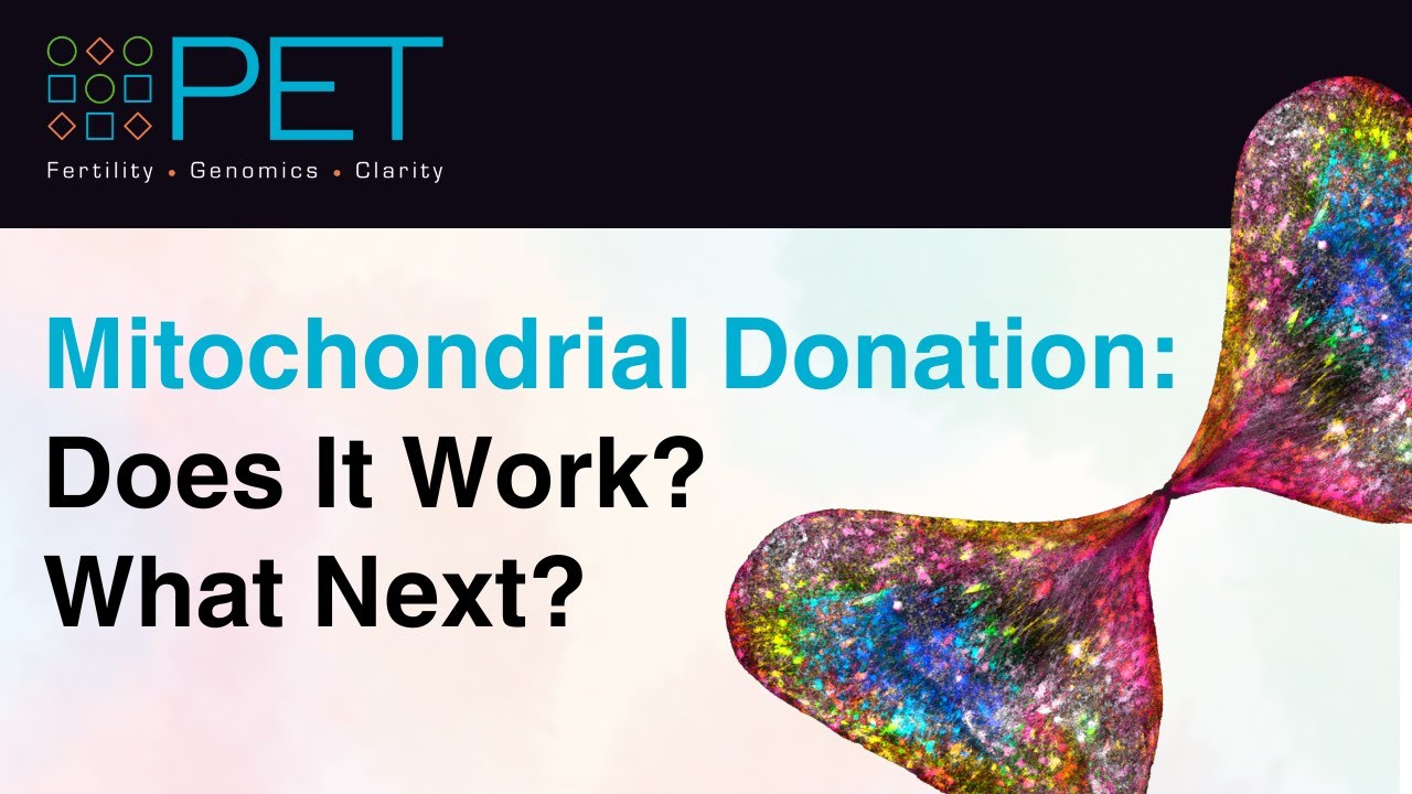 Mitochondrial Donation: Does It Work? What Next?