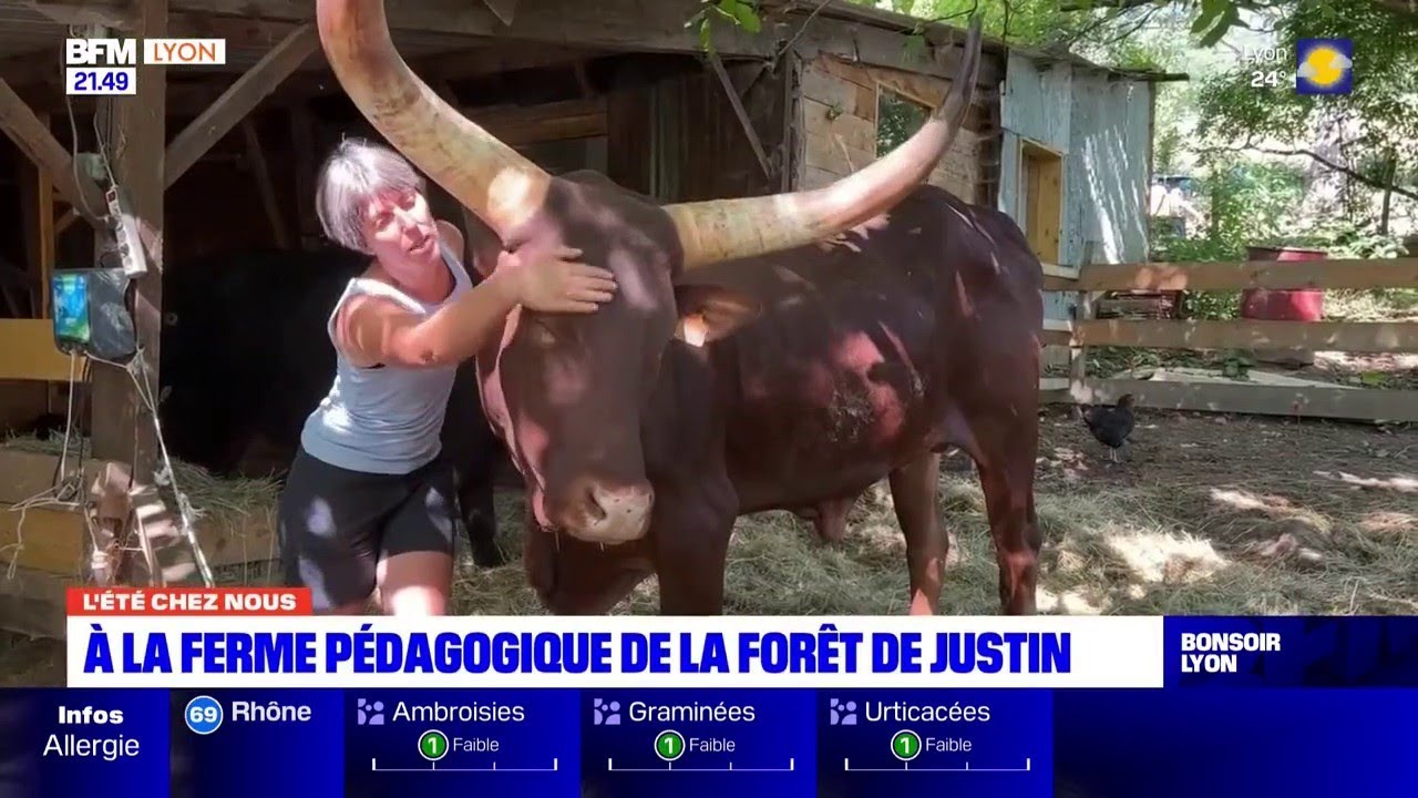 Été chez nous : à la ferme pédagogique de la forêt de Justin