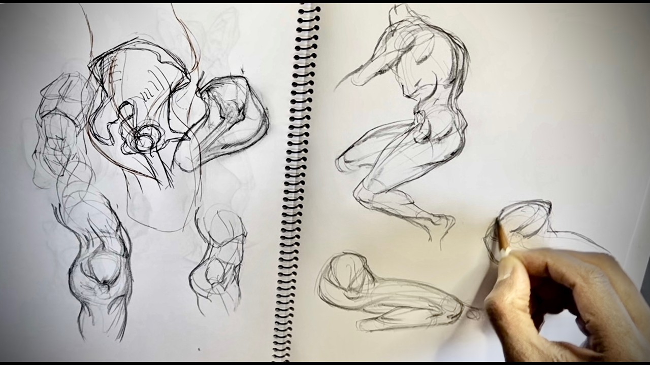 How To Draw Muscles of the Pelvis - Side View