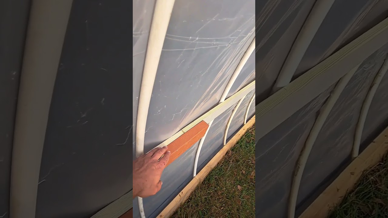Built a Greenhouse for Under 50 Dollars #shorts #greenhouse #garden #permaculture