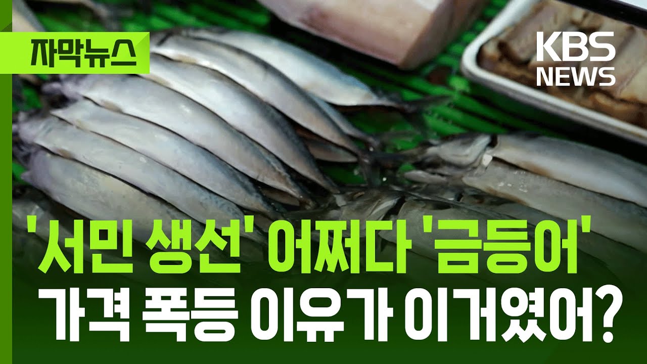 [자막뉴스] '서민 생선' 고등어, 어쩌다 '금등어'가 됐나…가격 급등한 이유 / KBS 2026.02.04.