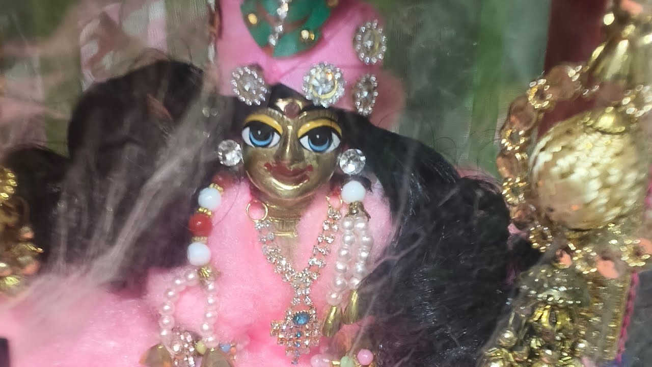 radhe radhe 🙏🏼