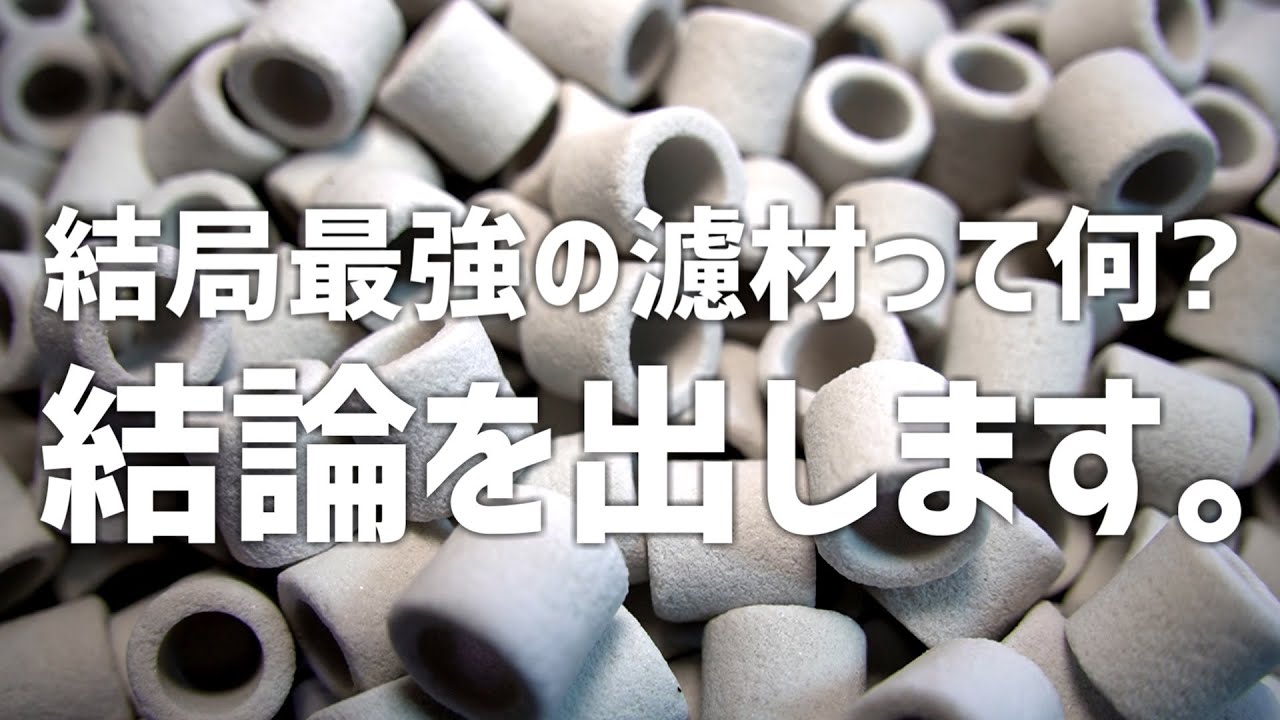 終わりのない問に終止符を。最強濾材とは何なのかお伝えします。#633【アクアリウム】