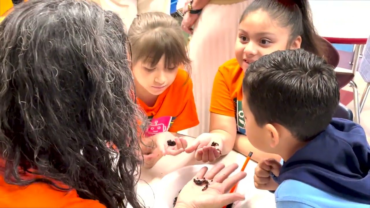 M. Rivas Discovery Academy