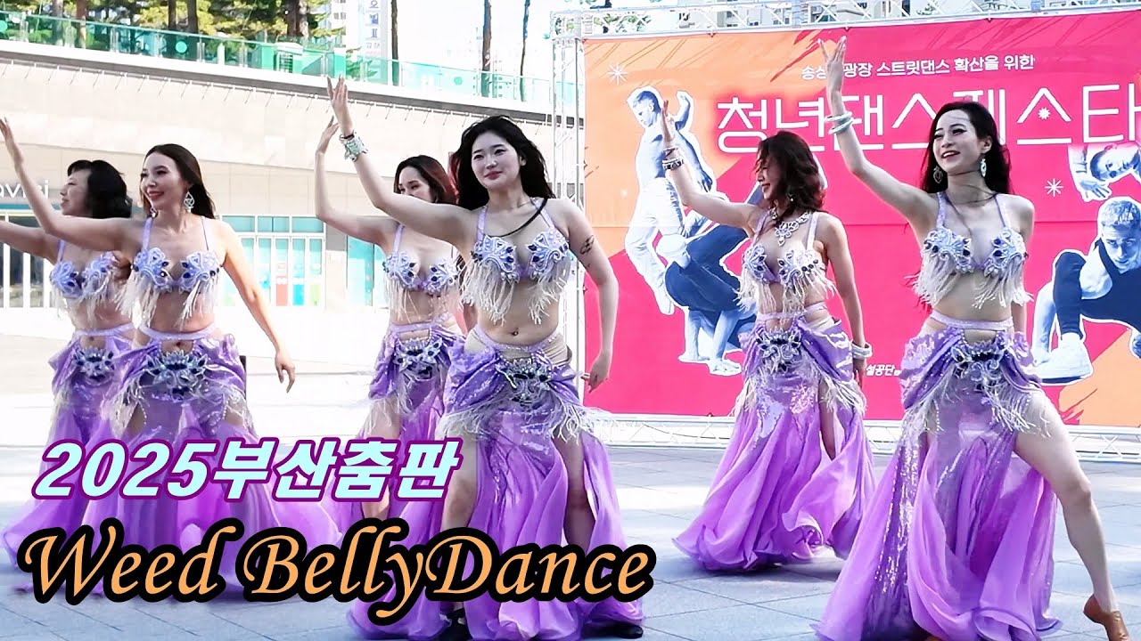 위드밸리댄스 (Weed BellyDance) @ 2025부산춤판 청년댄스페스타250628