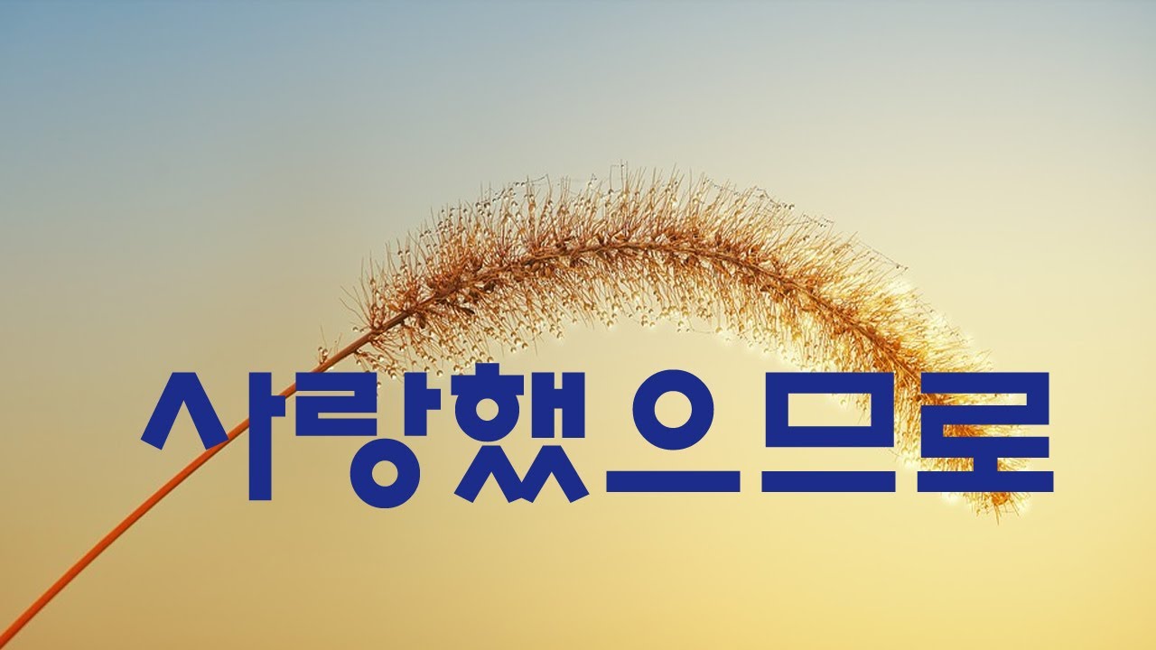 가요,  조관우 - 사랑했으므로,  반복듣기,  7080, 8090, 국내가요, 한국가요, KPOP
