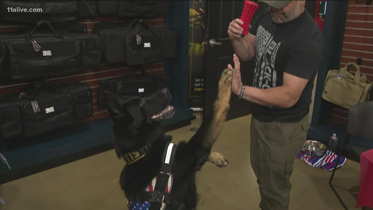 K9 Jerry Lee enjoying retirement