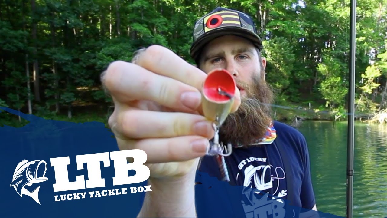 Topwater Tip #5 For Bass Fishing: How to Fish a Popper