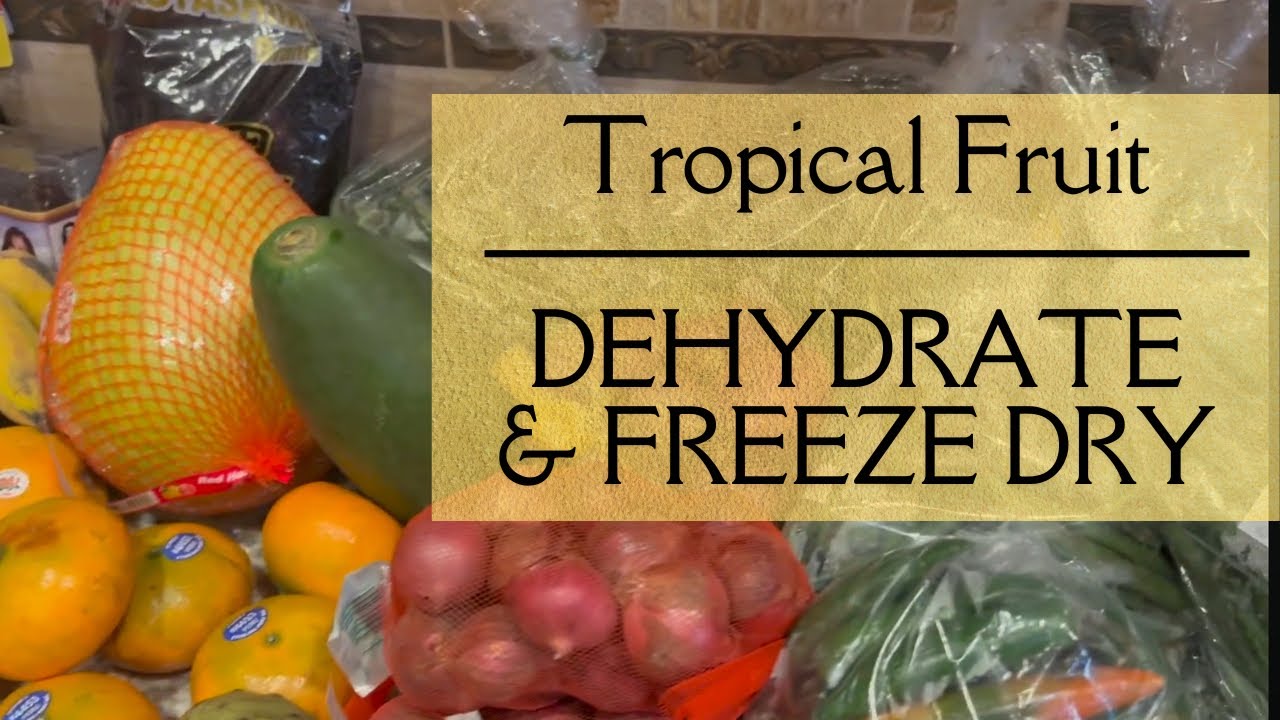 Tropical Fruit & Vegetable Grocery Haul - Preservation with Dehydrator and Freeze Dryer
