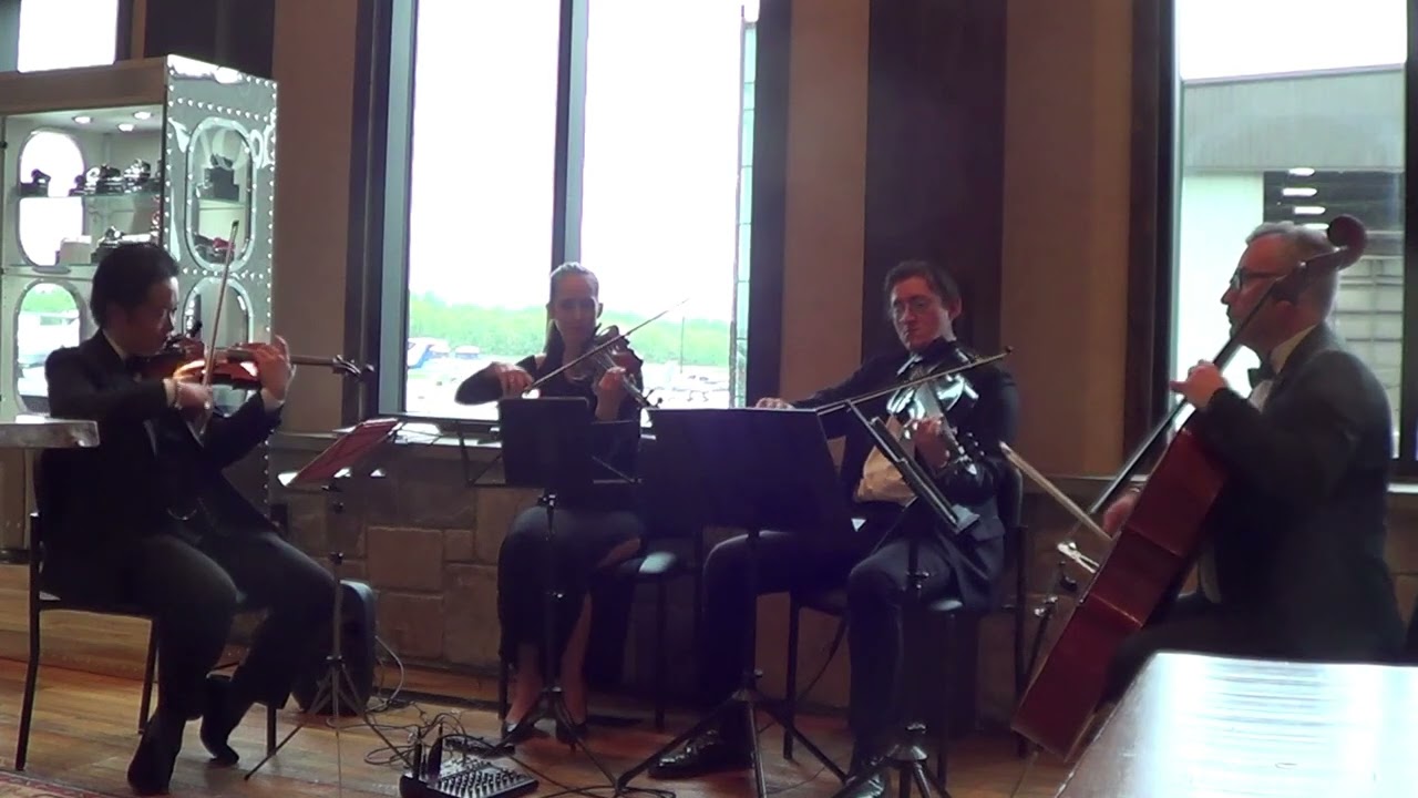 XinOu Wei Strings plays Vernon Duke "Autumn In New York" Quartet