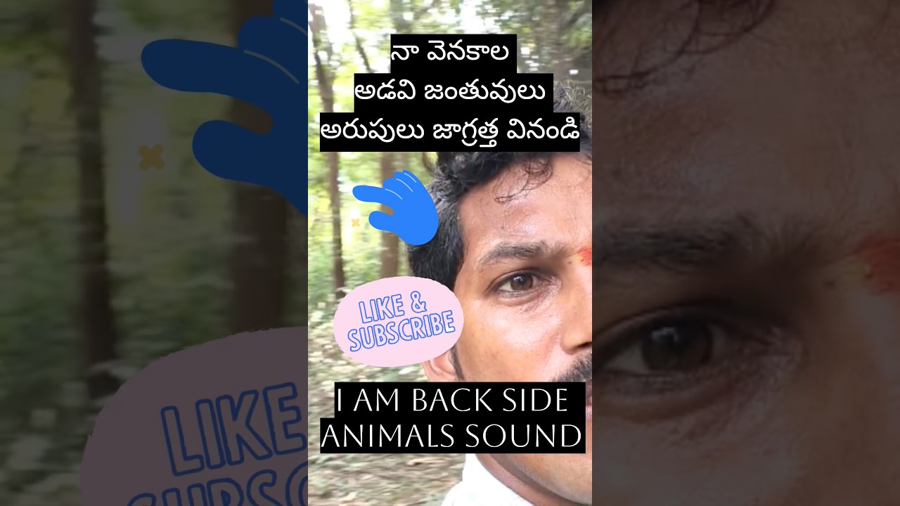 నా వెనకాల అడవి జంతువులు ||పిలుస్తున్నాయి చూడండి