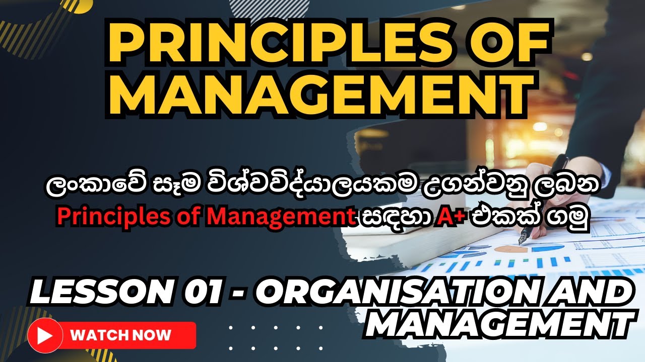Principles of Management. Lesson 01   Organization and Management